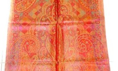 Manufacturer of Fancy Silk Scarves, Ethnic Silk Scarves, Designer Silk Shawls, Silk Printed Shawls, Digital Print Silk Scarves, Silk Scarf,